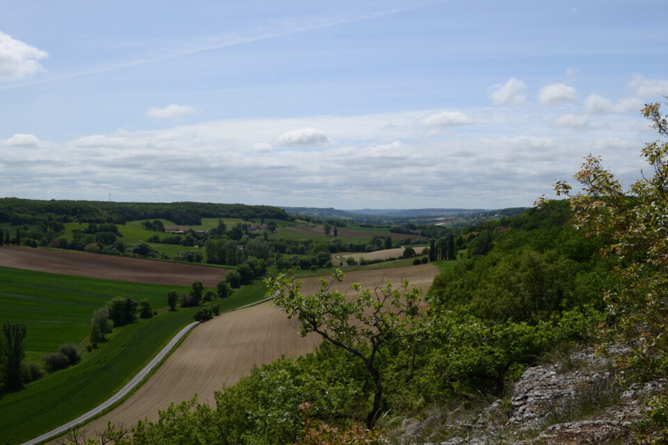 Vue depuis l'oppidum du pech d'Estillac